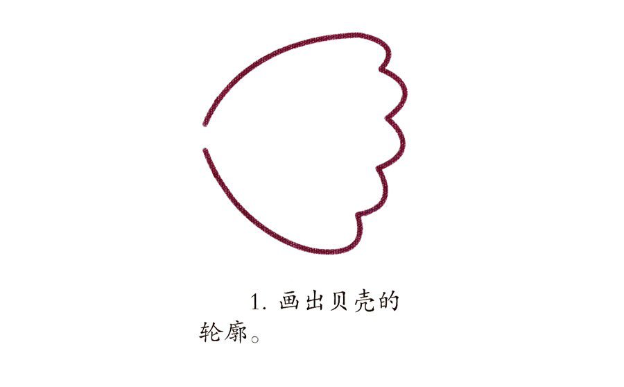 幼兒簡(jiǎn)筆畫(huà) 貝殼