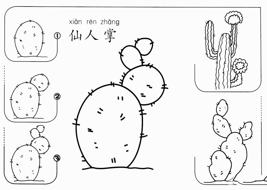 简单的仙人掌怎么画