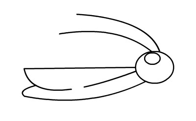兒童簡(jiǎn)筆畫蝗蟲的畫法
