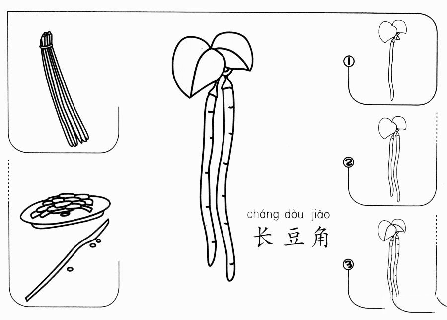 長豆角怎么畫