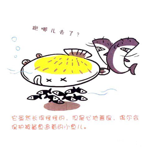 四步畫(huà)出可愛(ài)簡(jiǎn)筆畫(huà) 怪怪的左口魚(yú)