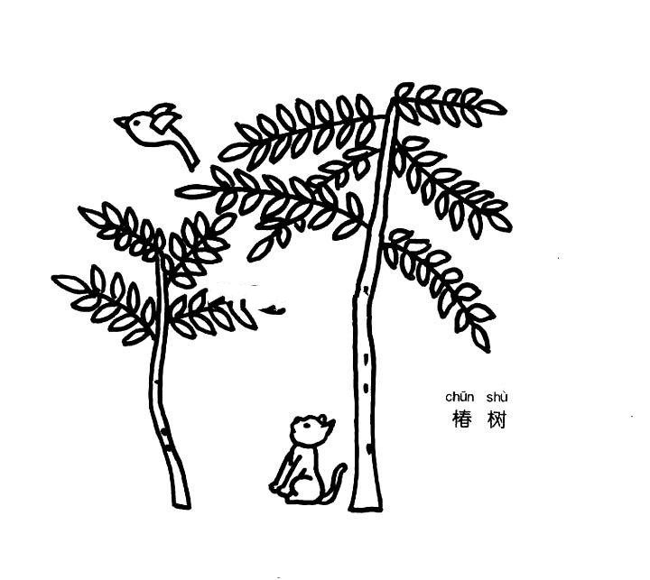 椿樹簡(jiǎn)筆畫圖片