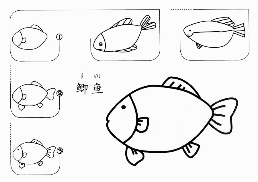 鯽魚怎么畫