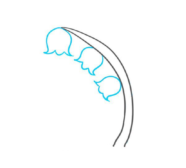 2.畫上3多漂亮的鈴蘭花
