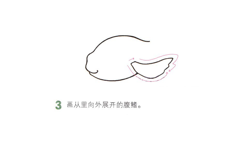 一步一步學(xué)畫漂亮的金魚