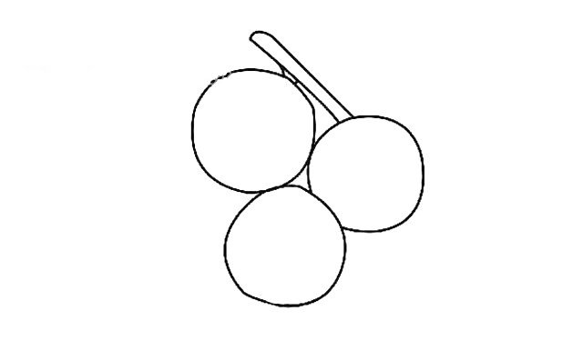 第三步：然后畫出與三個山楂相連的枝干，小編見過山楂書，山楂與山楂間長得總是很緊湊。