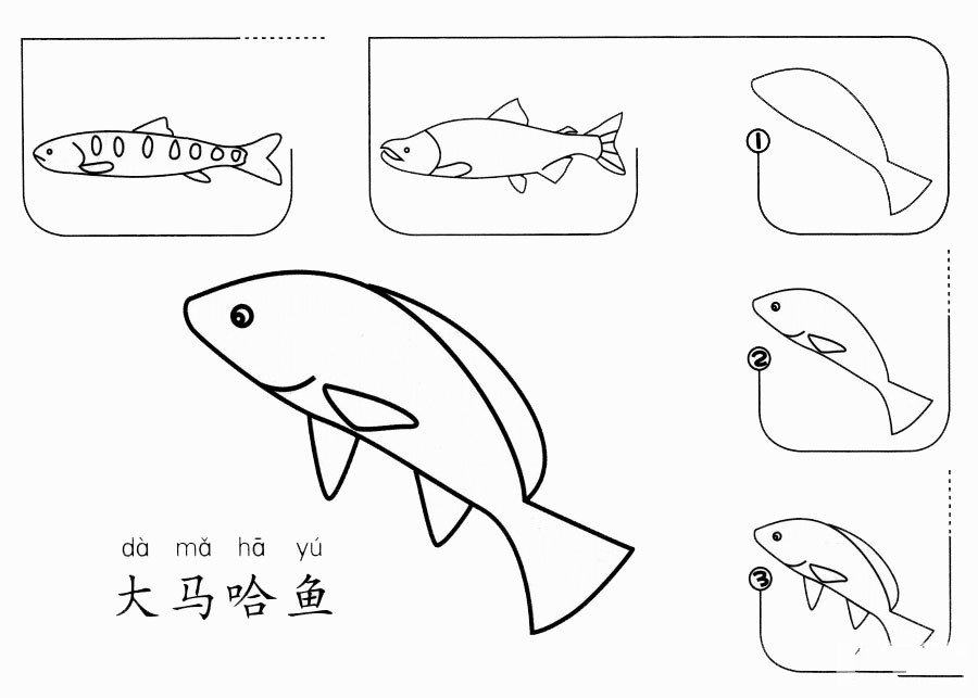 大馬哈魚怎么畫