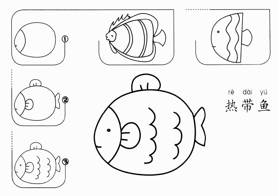 热带鱼怎么画