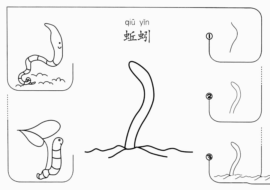 蚯蚓怎么畫