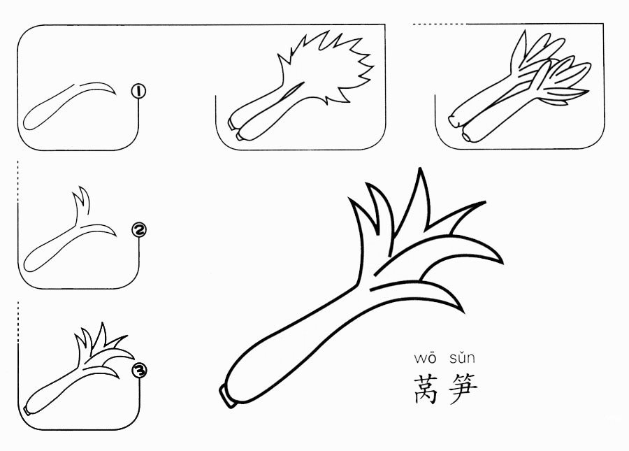 萵筍怎么畫