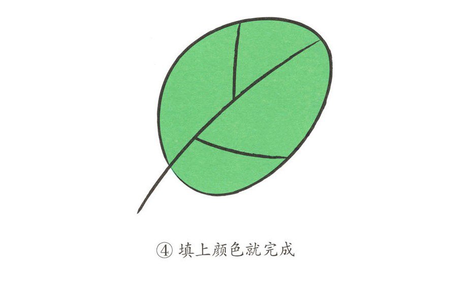 學(xué)畫簡單的樹葉