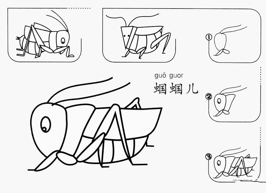 蟈蟈怎么畫