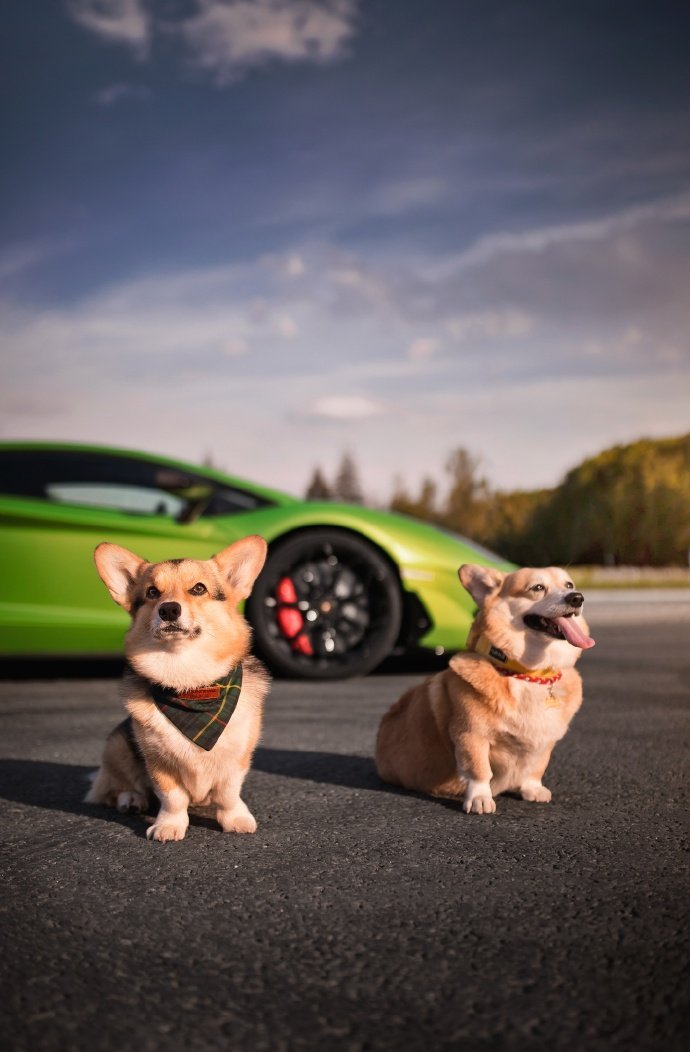 Lamborghini Aventador SVJ，帅呆了