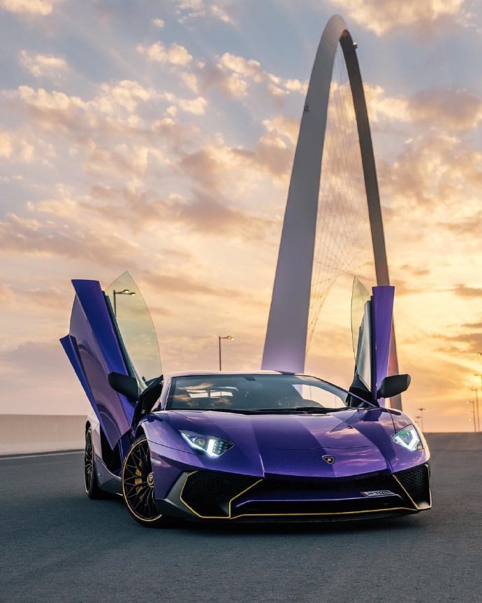 紫色尤物 Lamborghini Aventador SV ​​​​图片