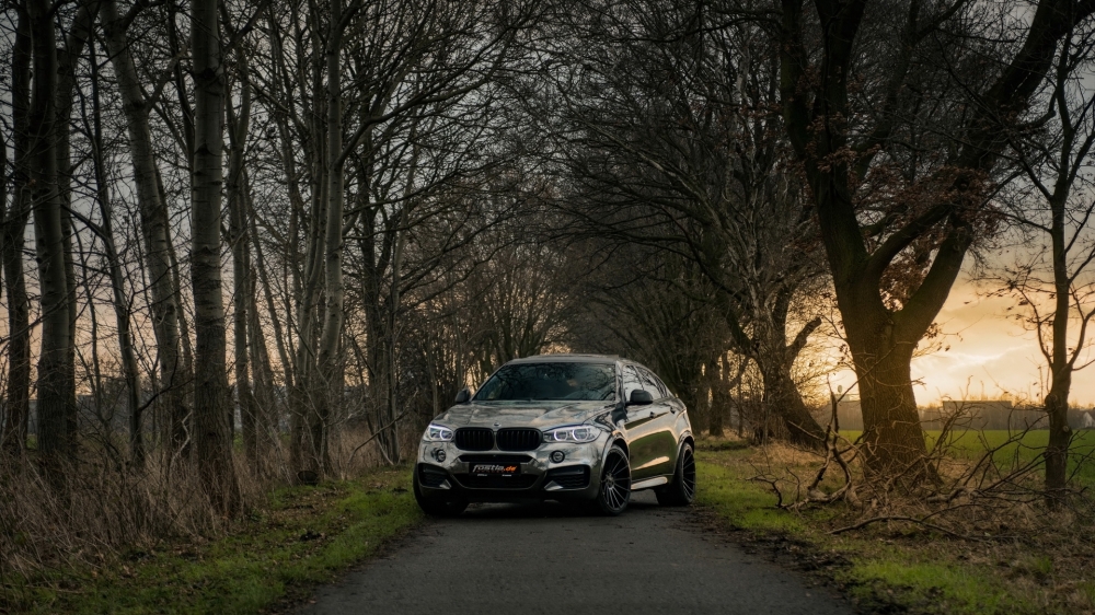2018 fostla.de BMW 宝马 X6 M50D F16图片