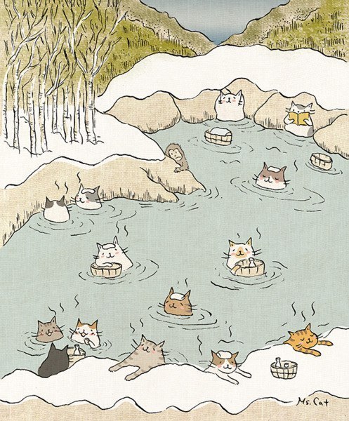 猫猫世界的卡通壁纸图片