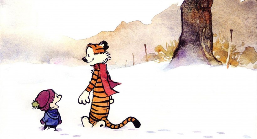 漫畫《Calvin Hobbes》圖片