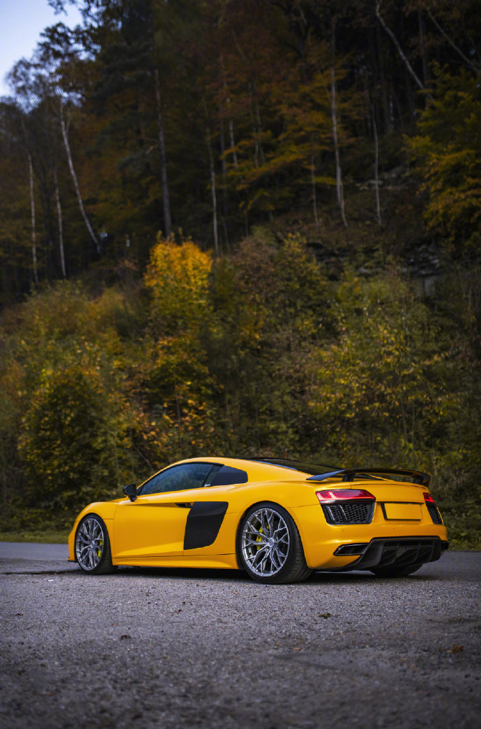 Audi R8 动力强，颜值高