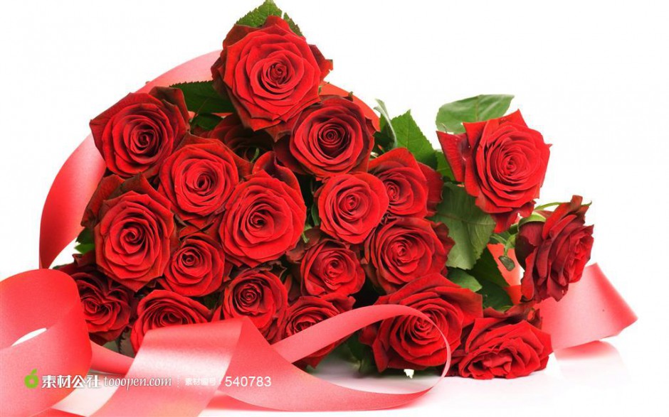 浪漫情人节丝带红玫瑰素材