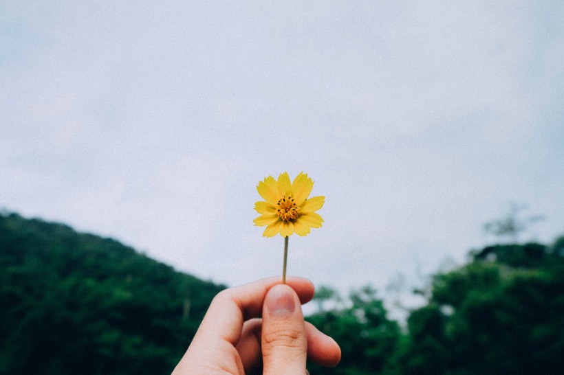 手里拿着各种各样的花图片