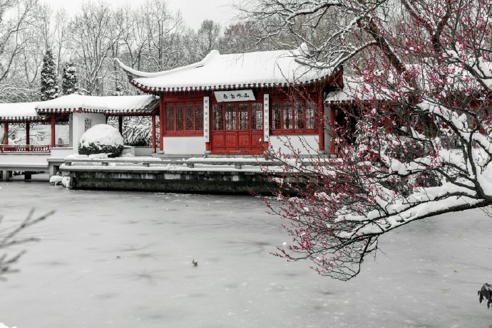 江南未雪梅花白，忆梅人是江南客