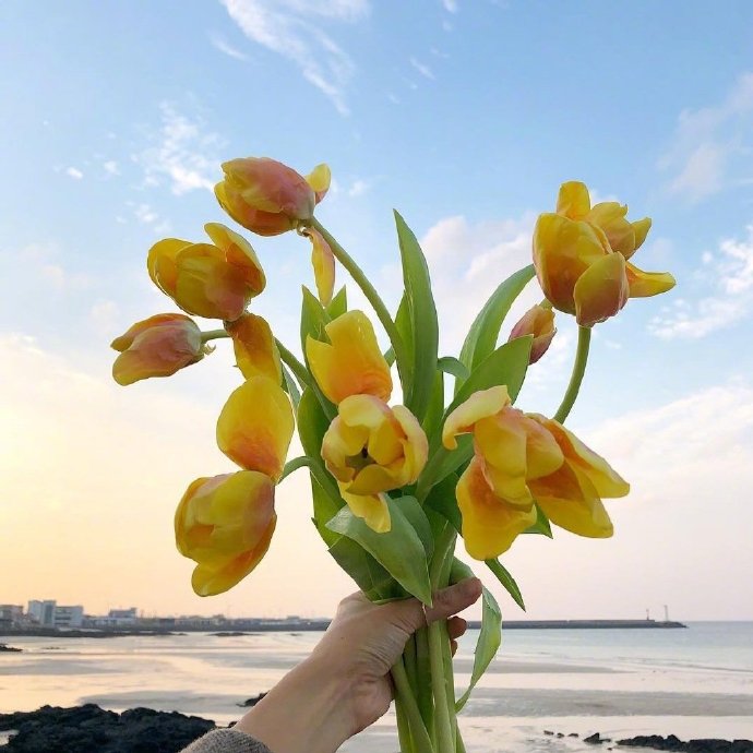 一组漂亮的鲜花花束图片