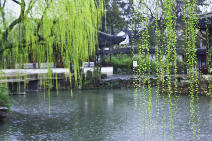 燕子来时，细雨满天风满院 阑干倚处，青梅如豆柳如烟 ​