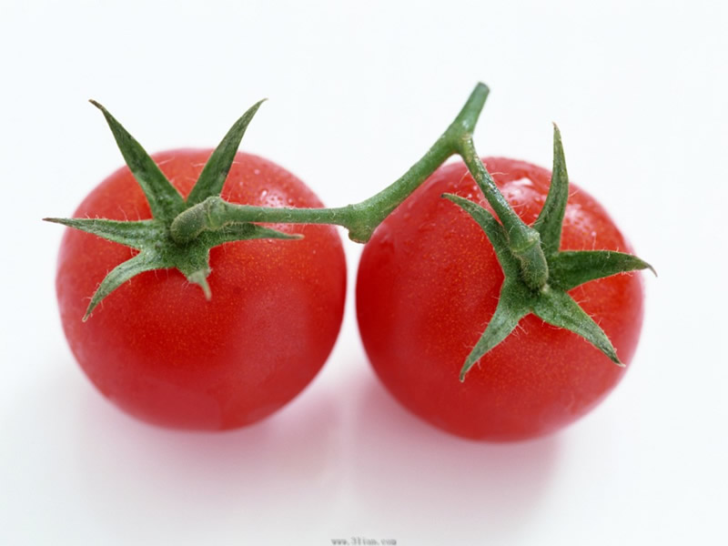 番茄有大有小呈扁球形，像一个个小灯笼