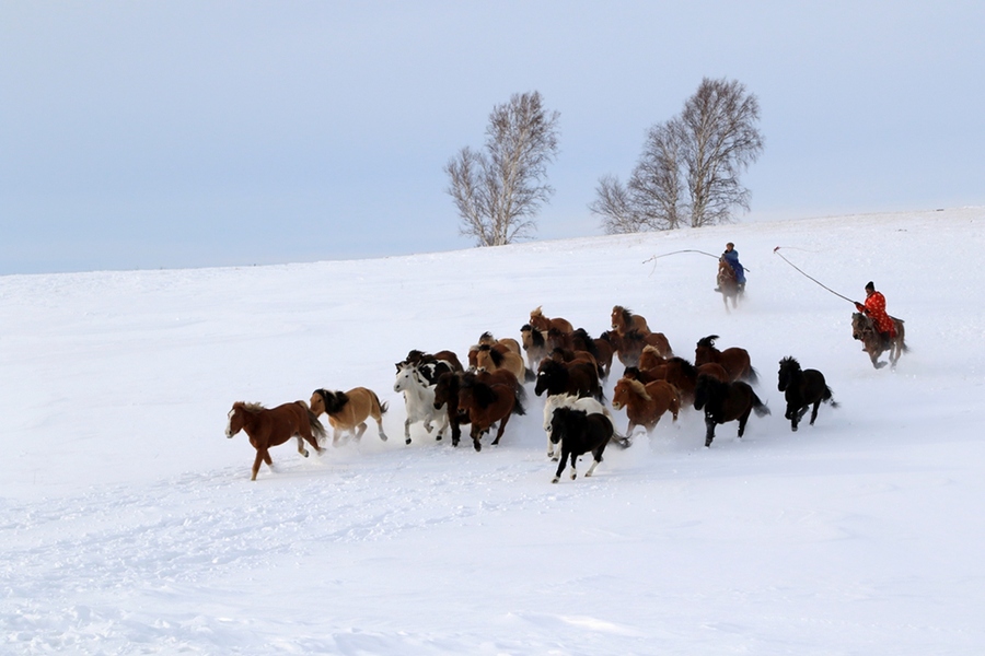 雪地奔馬