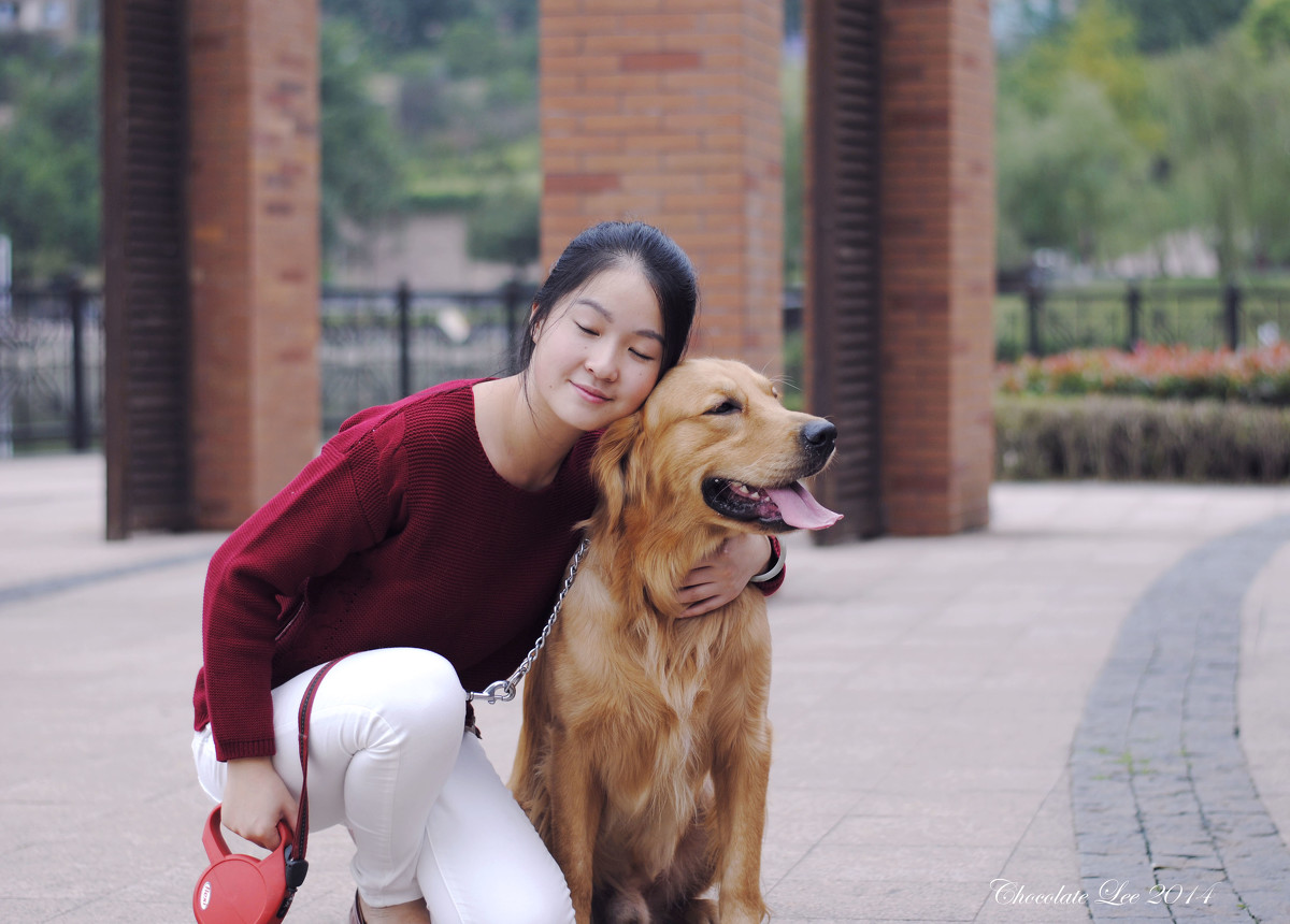 金毛犬与美女的周末