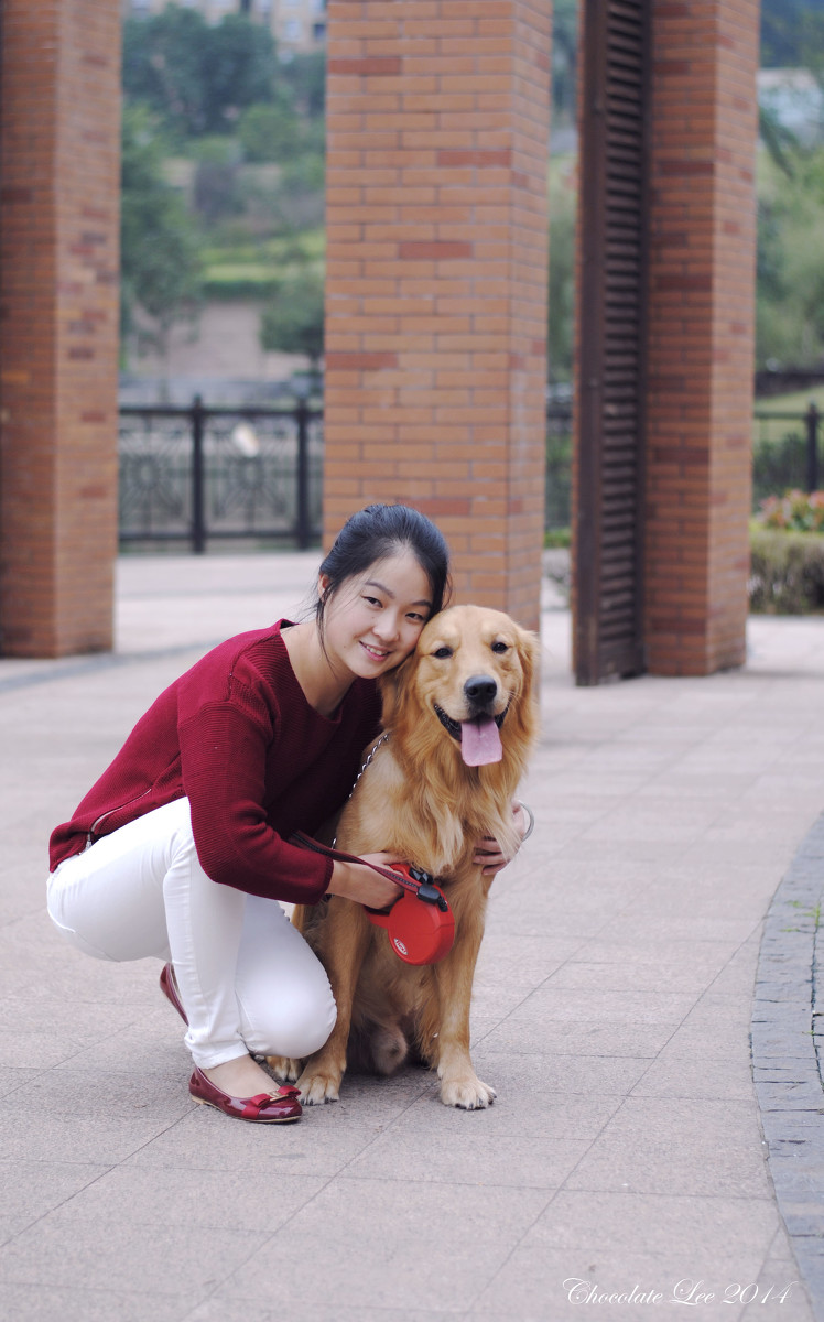 金毛犬与美女的周末