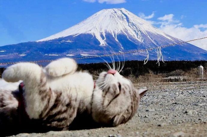 旅行喵，走过千山万水，看尽人世繁华