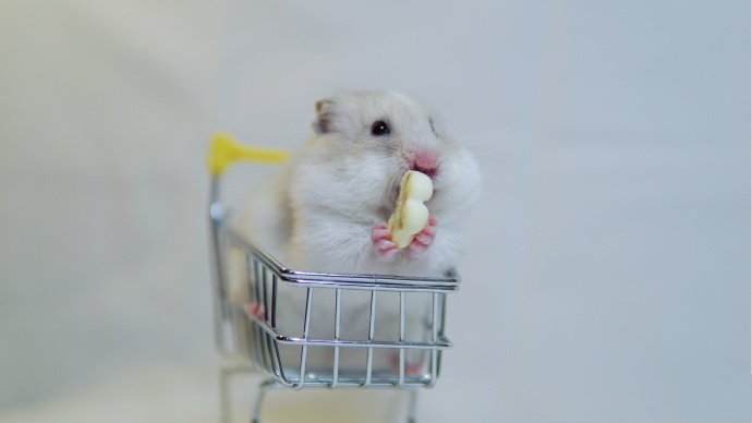 购物车里超可爱的小仓鼠