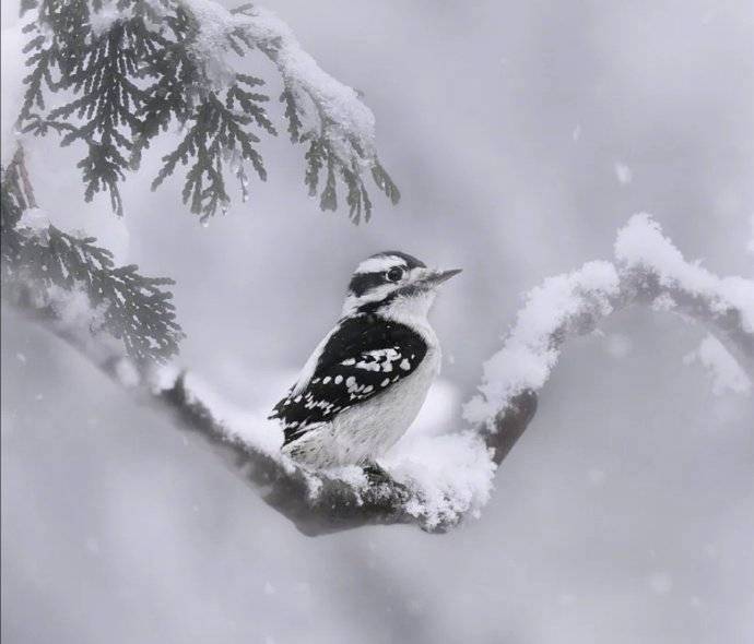 春有百花秋有月，夏有凉风冬有雪