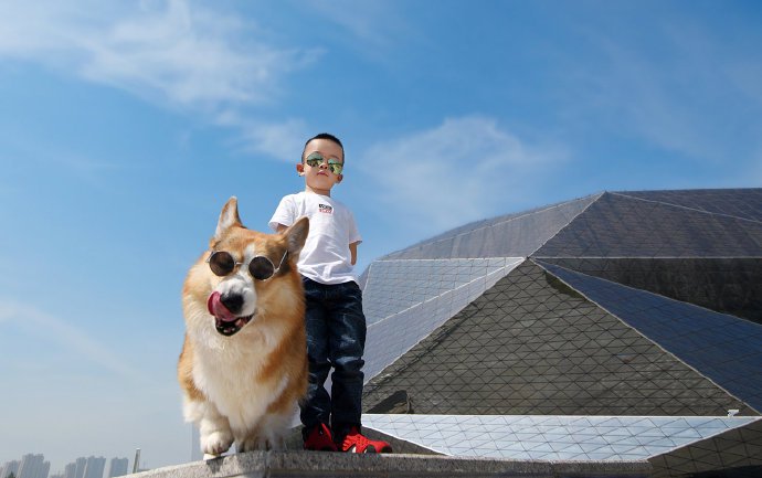 一组毛孩子的摄影大片图片欣赏