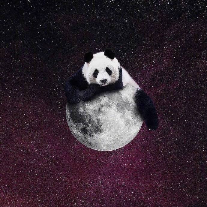 Mr.Panda的奇幻冒险之旅图片欣赏