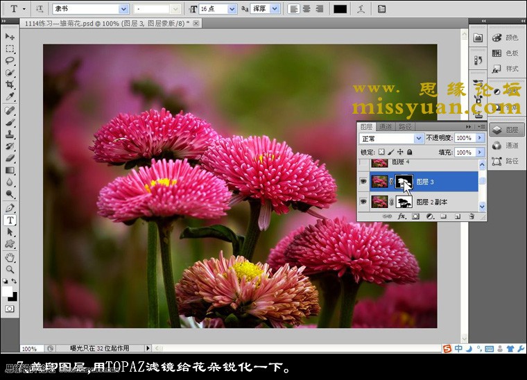 Photoshop增加后期花朵照片的颜色层次感,PS教程,16xx8.com教程网