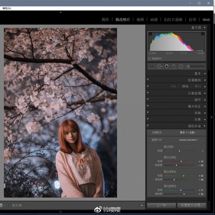 LR調(diào)色教程，用LR打造唯美的夜景櫻花人像