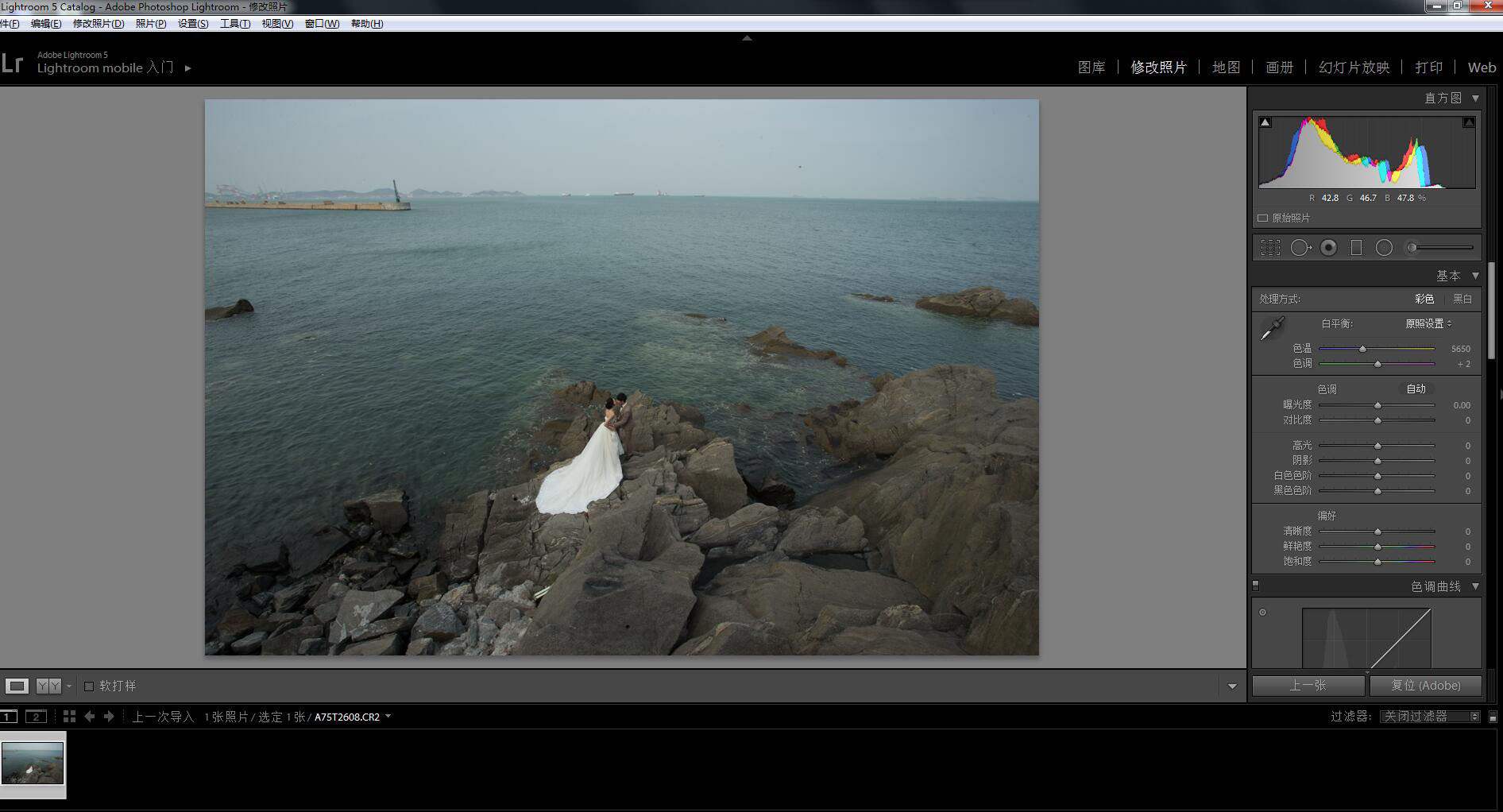 影楼后期，利用LR+PS调出高端大气的海景婚纱写真照片实例