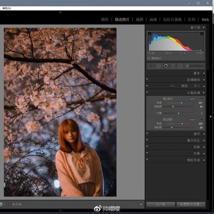 LR調(diào)色教程，用LR打造唯美的夜景櫻花人像