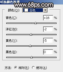 褐色調(diào)，調(diào)古典暗調(diào)褐色人像照片