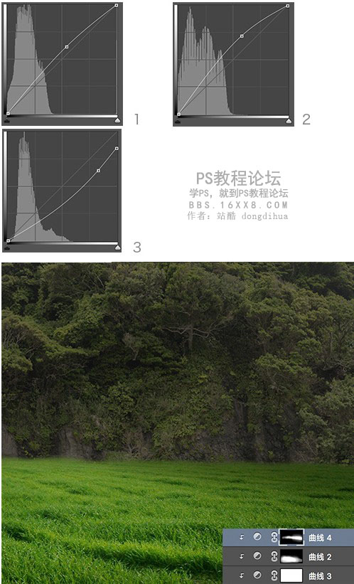 森林場景，合成女人與鹿夢幻森林場景教程