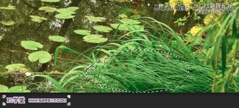 Photoshop制作树木图案立体字教程,PS教程,16xx8.com教程网