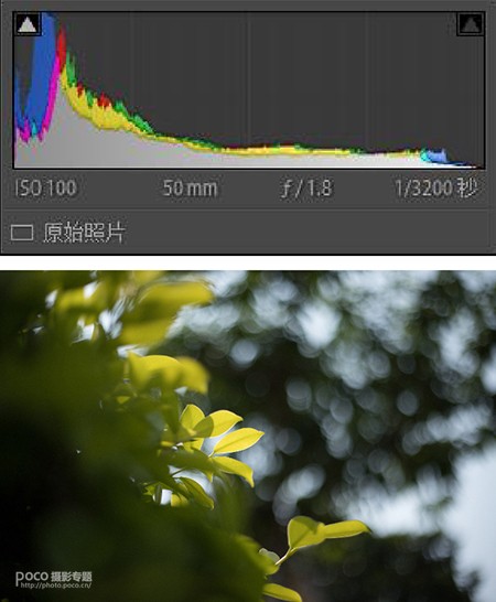 靜物調(diào)色，明亮通透的小清新靜物照前后期思路