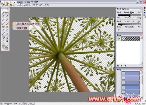 Photoshop抠图教程：Mask pro 4.11抠图使用教程,PS教程,思缘教程网