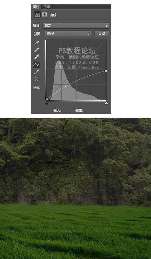 森林場景，合成女人與鹿夢幻森林場景教程