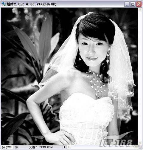 用Photoshop CS3打造蔚蓝梦幻风格婚纱照