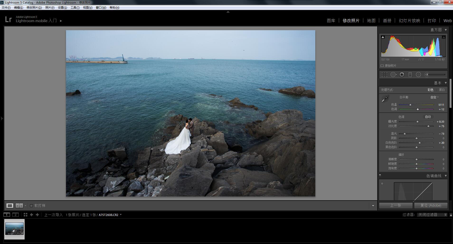 影楼后期，利用LR+PS调出高端大气的海景婚纱写真照片实例