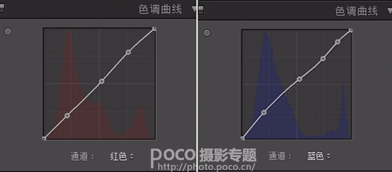 冷色调，用LR调出冷色森系写真照片