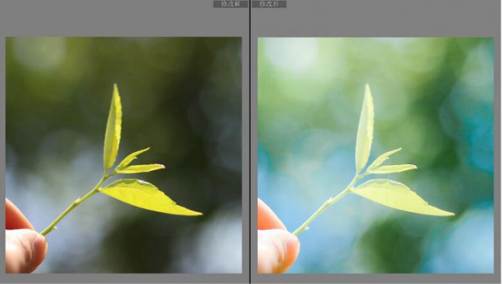 LR調(diào)色教程，通過LR給夏日靜物調(diào)出一種小清新色調(diào)